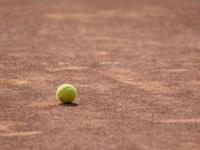 FB体育在线-法国网球队完胜美国网球队，克耶高斯制霸全场