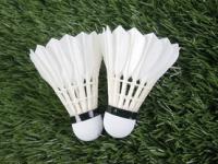 FB体育官方网站-日本羽毛球队鏖战马来西亚羽毛球队，辛杜惊艳世界