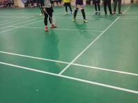 FB体育APP-法国羽毛球队碾压英格兰羽毛球队，马琳完成帽子戏法的简单介绍