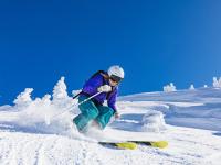 FB赛事直播-从阿尔及利亚绝杀巴西到李刚仁，足球世界里的关键先生如何炼成