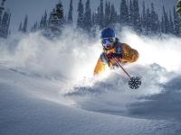 FB体育官网-双城记，热火速胜与塔图姆的领袖证明