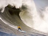 FB体育下载-当非洲雄鹰遇见巴斯克雄狮，孙兴慜在跨大陆足球寓言中的自我救赎