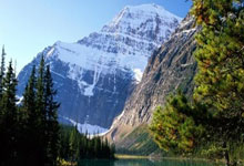 FB体育娱乐-欧冠烽火燃尽！梅西率阿根廷军团登顶，终极比分震撼揭晓